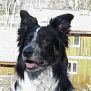 Spencer was adopted in April, 2006